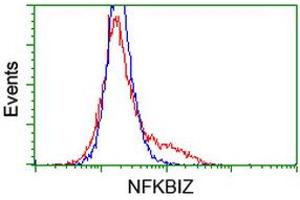 HEK293T cells transfected with either RC219121 overexpress plasmid (Red) or empty vector control plasmid (Blue) were immunostained by anti-NFKBIZ antibody (ABIN2454472), and then analyzed by flow cytometry. (NFKBIZ antibody)