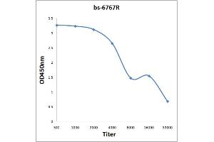 Antigen: 0. (ALIX antibody  (AA 601-700))