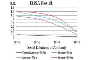 Black line: Control Antigen (100 ng),Purple line: Antigen (10 ng), Blue line: Antigen (50 ng), Red line:Antigen (100 ng) (CCR3 antibody)