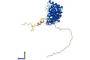 AlphaFold protein structure predicition of Mouse Recombinant Ptcd2 Protein, UniprotID Q8R3K3