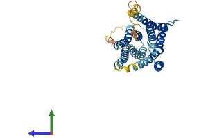 AlphaFold protein structure predicition of Mouse Recombinant Slc39a1 Protein, UniprotID Q9QZ03 (SLC39A1 Protein (AA 1-324) (His tag))