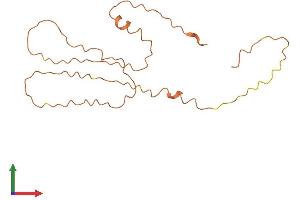 AlphaFold protein structure predicition of Human Recombinant LINC00269 Protein, UniprotID Q8N2A0