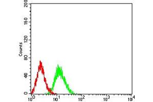 Flow cytometric analysis of Jurkat cells using PRKAA2 mouse mAb (green) and negative control (red). (PRKAA2 antibody  (AA 453-552))