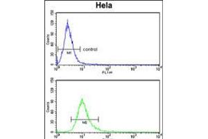 Flow cytometry analysis of Hela cells (bottom histogram) compared to a negative control cell (top histogram). (PCAT1 antibody  (C-Term))