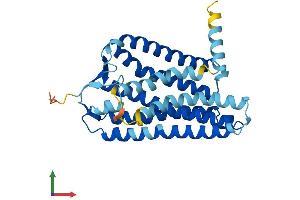 AlphaFold protein structure predicition of Human Recombinant OR11A1 Protein, UniprotID Q9GZK7