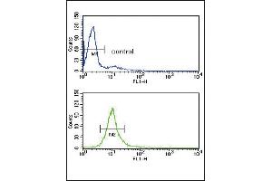 CYP51A1 Antibody (Center) (ABIN652820 and ABIN2842535) flow cytometry analysis of HL-60 cells (bottom histogram) compared to a negative control cell (top histogram). (CYP51A1 antibody  (AA 250-279))