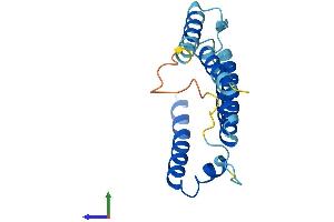 AlphaFold protein structure predicition of Human Recombinant MT-ND6 Protein, UniprotID P03923 (MT-ND6 Protein (AA 1-174) (His tag))