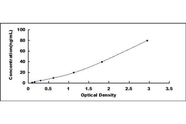 EPX ELISA Kit