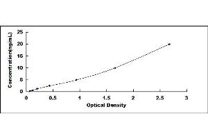 Typical standard curve (SQSTM1 ELISA Kit)