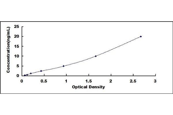 SQSTM1 ELISA Kit