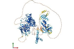 AlphaFold protein structure predicition of Human Recombinant PMS1 Protein, UniprotID P54277