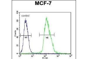 MF Antibody (C-term) 940b flow cytometric analysis of MCF-7 cells (right histogram) compared to a negative control cell (left histogram). (MFAP4 antibody  (C-Term))