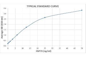 Typical Standard Curve for the HSP70 ELISA Kit (Enzyme-Linked Immunosorbent Assay). (HSP70 ELISA Kit)