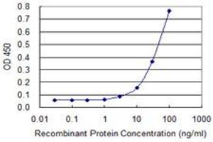 Detection limit for recombinant GST tagged ZIC3 is approximately 10ng/ml as a capture antibody. (ZIC3 antibody  (AA 182-274))