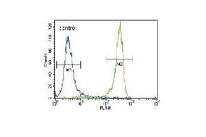 FGFR2 Antibody (N-term R22) (ABIN391967 and ABIN2841763) flow cytometric analysis of NCI- cells (right histogram) compared to a negative control cell (left histogram). (FGFR2 antibody  (N-Term))