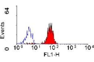 Staining of human peripheral blood monocytes with mouse anti human CD32: BIOTIN (ABIN118593). (FCGR2A antibody  (Biotin))