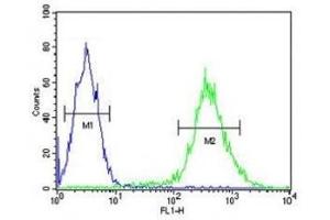 STING antibody flow cytometric analysis of Jurkat cells (green) compared to a negative control (blue). (STING/TMEM173 antibody  (AA 311-340))