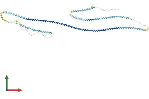 AlphaFold protein structure predicition of Human Recombinant HMMR Protein, UniprotID O75330 (HMMR Protein (AA 1-724) (His tag))