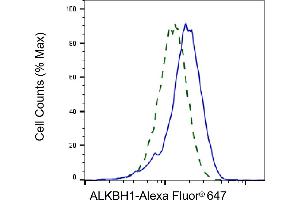 Validation of ALKBH1 knockdown using flow cytometry.