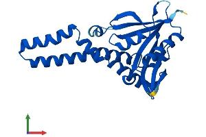 AlphaFold protein structure predicition of Mouse Recombinant Cml1 Protein, UniprotID Q9JIZ0 (Camello-Like 1 (CML1) (AA 1-222) protein (His tag))