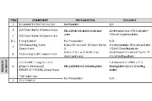 This picture shows the reagent preparation. (Tyrosine ELISA Kit)