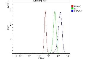 Flow Cytometry analysis of U87 cells using anti-TRPV1 antibody (ABIN7599677).