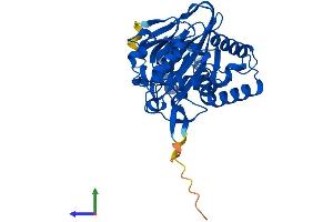 AlphaFold protein structure predicition of Mouse Recombinant Ogfod2 Protein, UniprotID Q9CQ04 (OGFOD2 Protein (AA 1-349) (His tag))