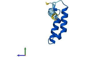 Protein Structure (PS) image for C-X(9)-C Motif Containing 4 Homolog (CMC4) (AA 1-68) protein (Fc Tag) (ABIN7557747)