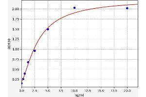 Typical standard curve (DUOX1 ELISA Kit)