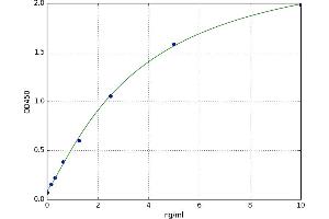 Brain Abundant, Membrane Attached Signal Protein 1 (BASP1) ELISA Kit