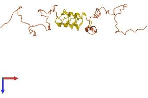 Keratin Associated Protein 5-10 (KRTAP5-10) (AA 1-202) protein (His tag)