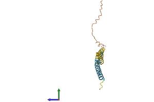 Protein Structure (PS) image for Interferon Induced Transmembrane Protein 2 (IFITM2) (AA 1-144) protein (His tag) (ABIN7560304)