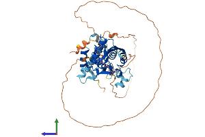 Protein Structure (PS) image for DCP2 Decapping Enzyme Homolog (DCP2) (AA 1-422) protein (His tag) (ABIN7564962)