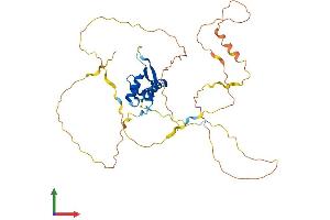 AlphaFold protein structure predicition of Human Recombinant FOXL2 Protein, UniprotID P58012 (FOXL2 Protein (AA 1-376) (His tag))