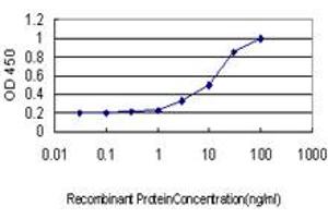 Detection limit for recombinant GST tagged POLA is approximately 0. (POLA1 antibody  (AA 1363-1462))