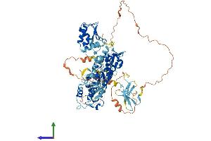 AlphaFold protein structure predicition of Human Recombinant SMURF1 Protein, UniprotID Q9HCE7 (SMURF1 Protein (AA 1-757) (His tag))