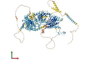 AlphaFold protein structure predicition of Mouse Recombinant Pnpla7 Protein, UniprotID A2AJ88 (Patatin-Like Phospholipase Domain Containing 7 (PNPLA7) (AA 1-1352) protein (His tag))
