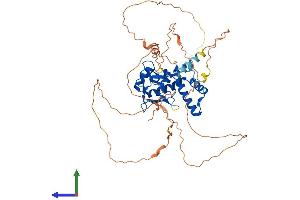 Protein Structure (PS) image for Nuclear Factor I/C (CCAAT-Binding Transcription Factor) (NFIC) (AA 1-508) protein (His tag) (ABIN7549789)