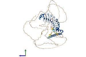 AlphaFold protein structure predicition of Mouse Recombinant Dnaaf1 Protein, UniprotID Q9D2H9