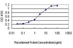 Detection limit for recombinant GST tagged GRID1 is approximately 0. (GRID1 antibody  (AA 349-441))