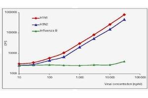 ELISA image for anti-Influenza A Virus antibody (Influenza A Virus H1N1) (ABIN263825) (Influenza A Virus antibody (Influenza A Virus H1N1))