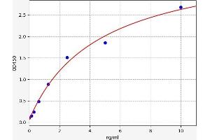 Slit Homolog 2 (Drosophila) (SLIT2) ELISA Kit