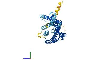 AlphaFold protein structure predicition of Human Recombinant OR13F1 Protein, UniprotID Q8NGS4 (OR13F1 Protein (AA 1-319) (His tag))