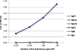 ELISA plate was coated with purified mouse IgG1, IgG2a, IgG2b, IgG3, IgM, and IgA. (Rat anti-Mouse IgG3 Antibody (HRP))