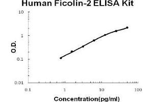 Human Ficolin-2 PicoKine ELISA Kit standard curve (Ficolin 2 ELISA Kit)