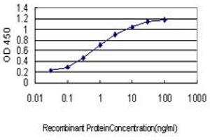Detection limit for recombinant GST tagged SALF is approximately 0. (GTF2A1 antibody  (AA 141-249))