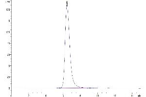 The purity of SARS-COV-2 Spike S1 (N501Y) is greater than 95 % as determined by SEC-HPLC. (SARS-CoV-2 Spike S1 Protein (N501Y) (His tag))