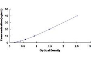 MC2R ELISA Kit