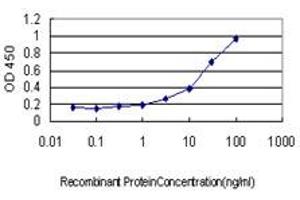 Detection limit for recombinant GST tagged NODAL is approximately 1ng/ml as a capture antibody. (Nodal antibody  (AA 275-346))