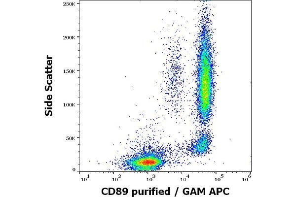 FCAR antibody